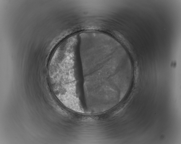 X0000114440721200911131515