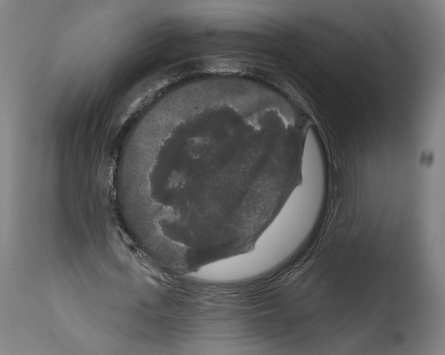 X0000114440723200911131515