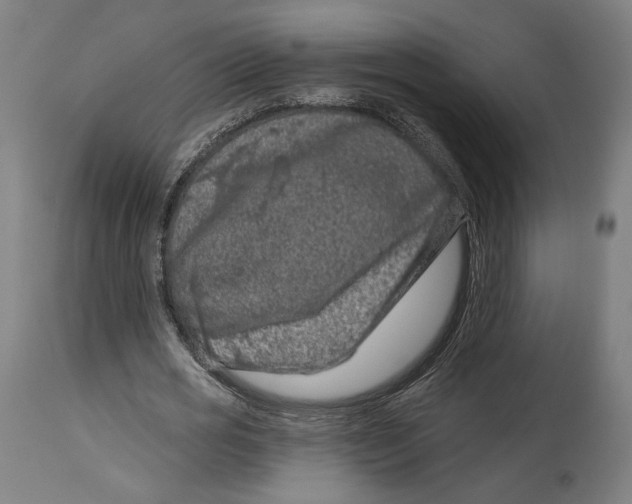 X0000114440725200911131515