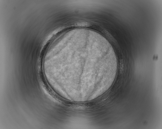 X0000114440726200911131515