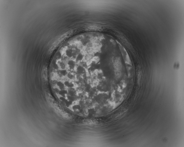 X0000114440729200911131515