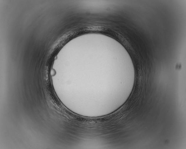 X0000114440731200911131515