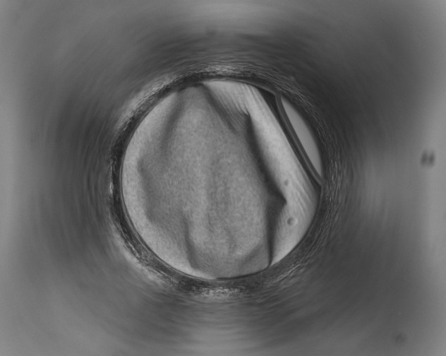 X0000114440734200911131515