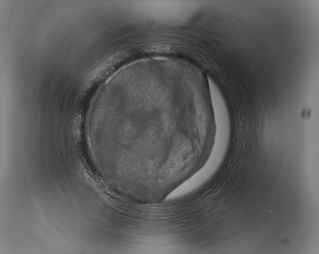 X0000114440735200911131515