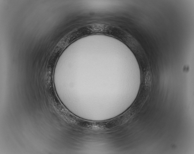 X0000114440737200911131515