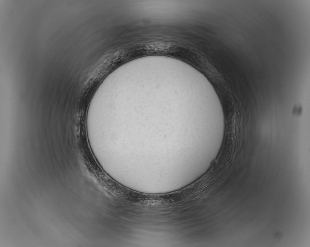 X0000114440738200911131515