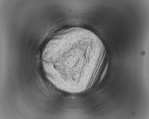 X0000114440739200911131515