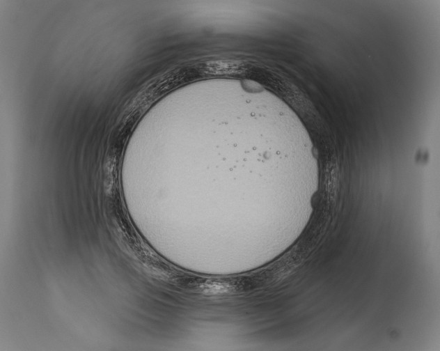 X0000114440741200911131515