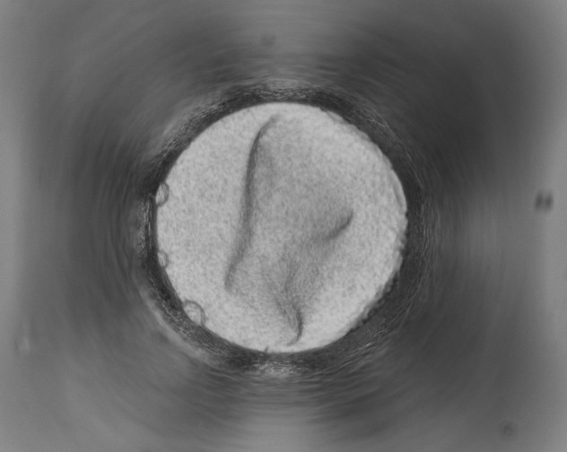 X0000114440742200911131515