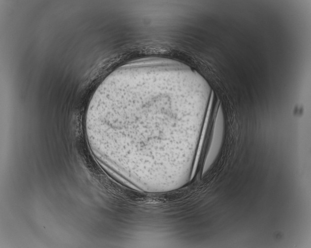 X0000114440743200911131515