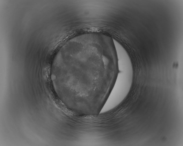 X0000114440747200911131515