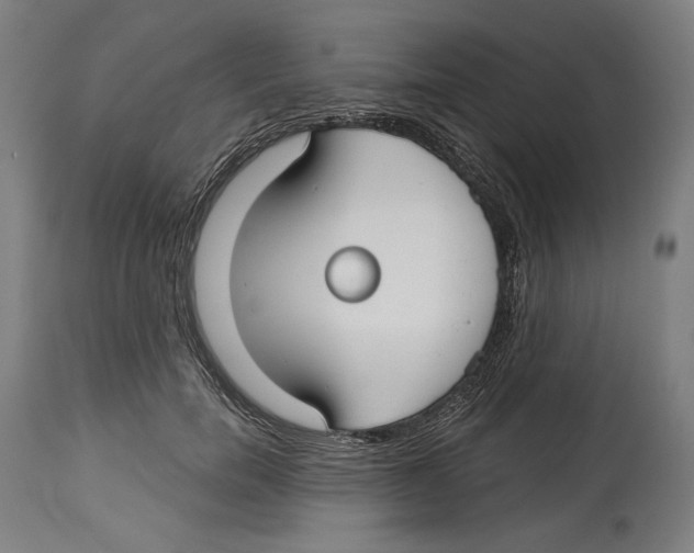 X0000114440750200911131515