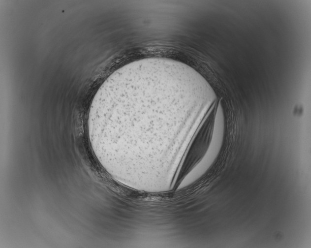 X0000114440751200911131515