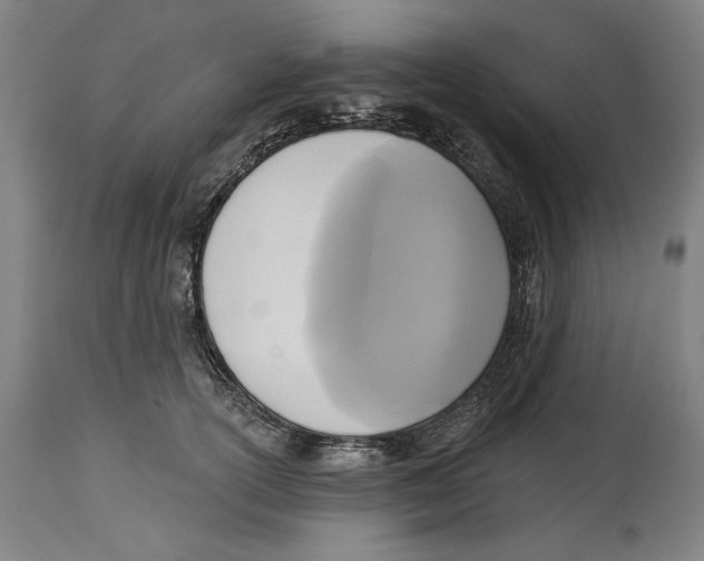 X0000114440754200911131515