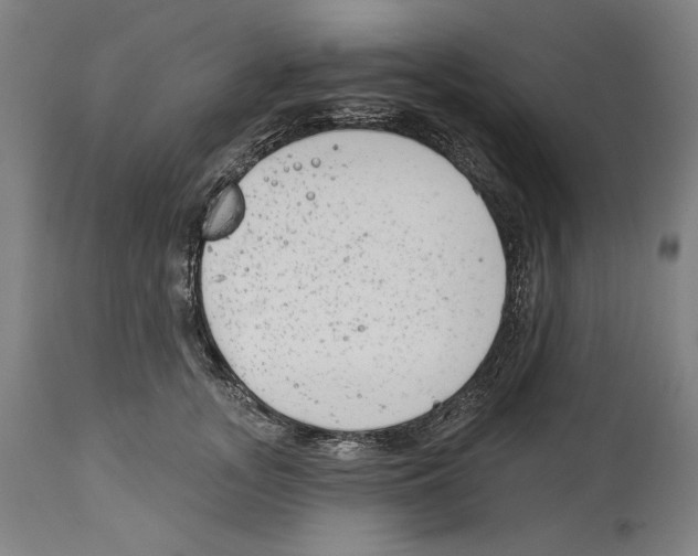 X0000114440755200911131515