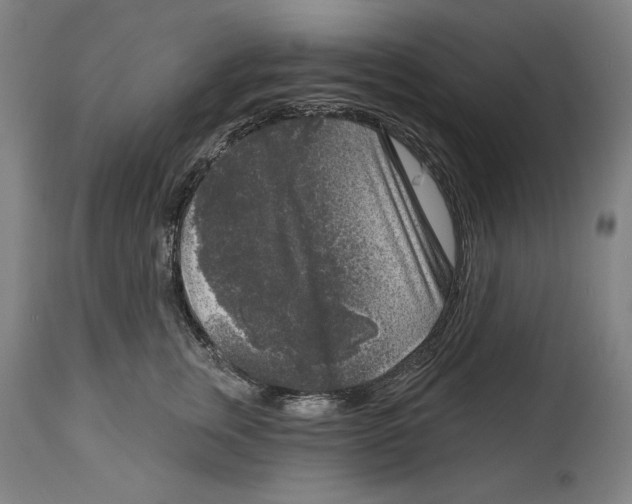 X0000114440759200911131515