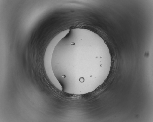 X0000114440762200911131515