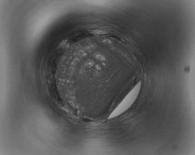 X0000114440763200911131515