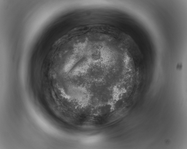 X0000114440765200911131515