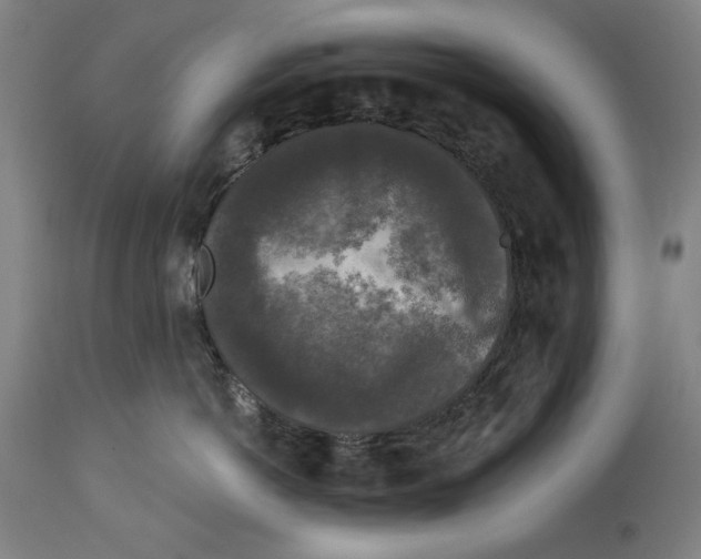 X0000114440766200911131515