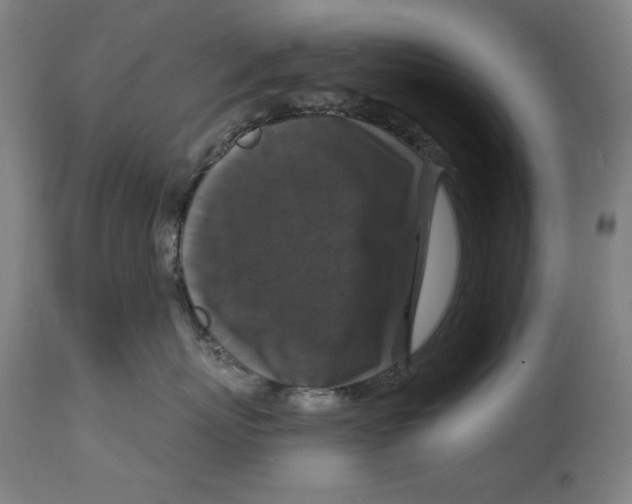 X0000114440767200911131516