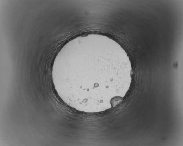 X0000114440769200911131515