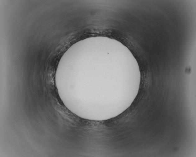 X0000114440770200911131515