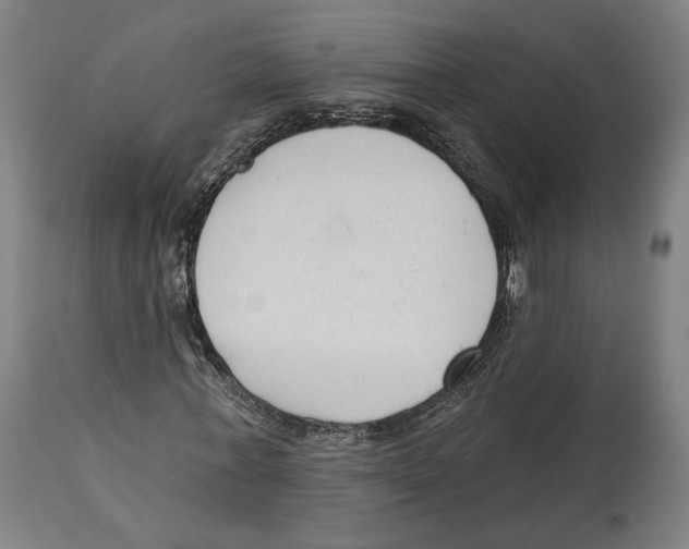 X0000114440771200911131515