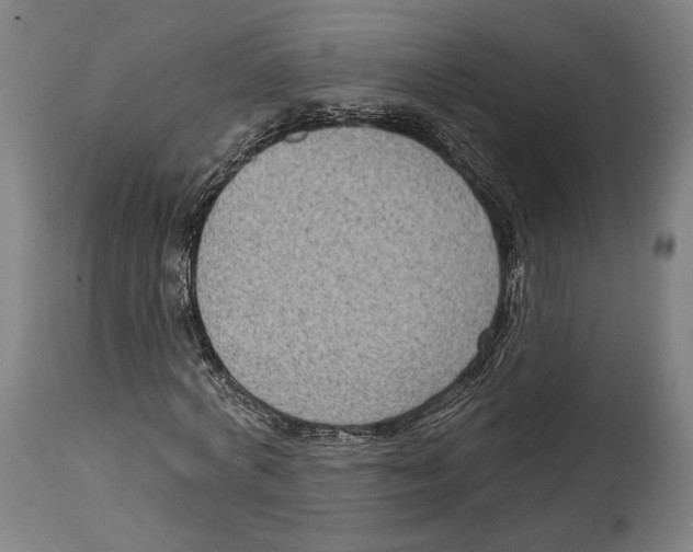 X0000114440772200911131515