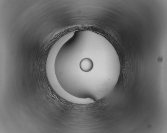 X0000114440773200911131515