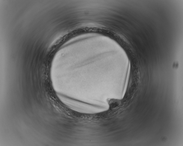 X0000114440775200911131515