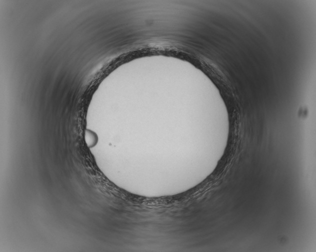 X0000114440776200911131515