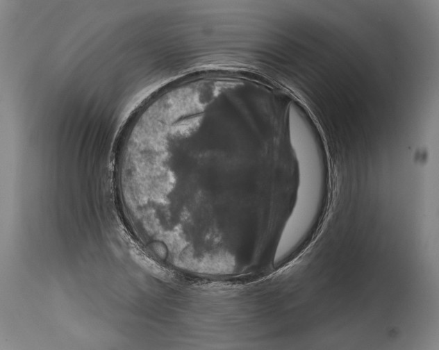 X0000114440779200911131515