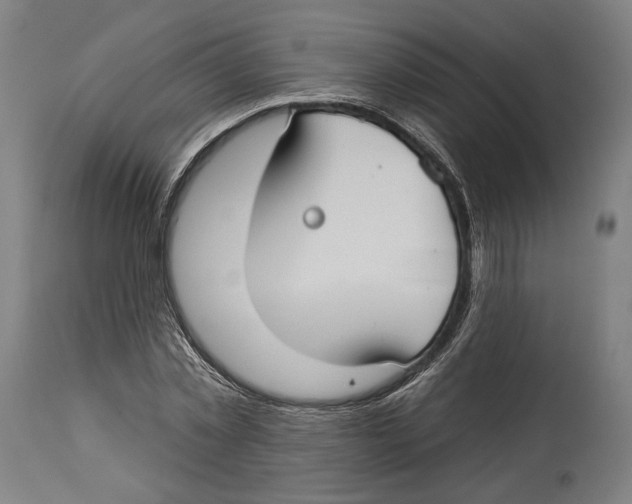 X0000114440781200911131515