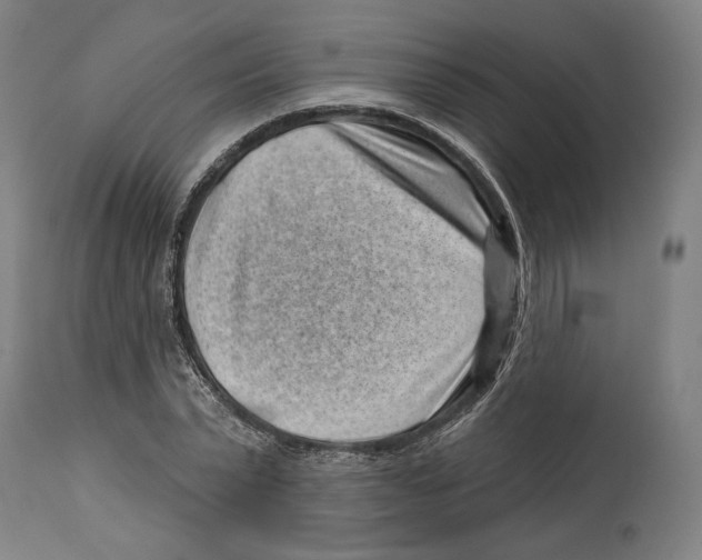 X0000114440783200911131515