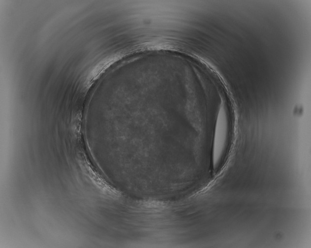 X0000114440785200911131515