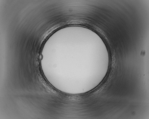 X0000114440786200911131515