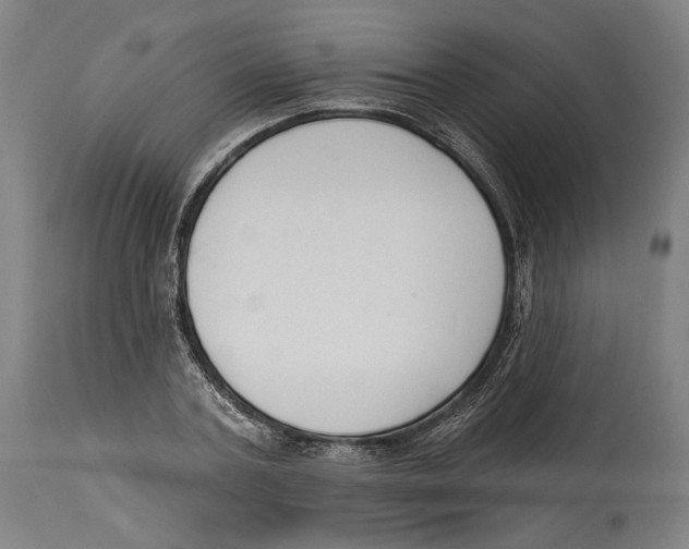 X0000114440787200911131515