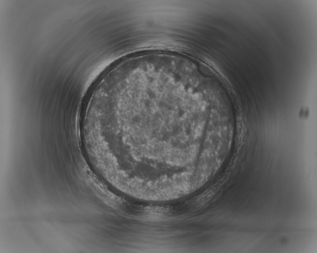 X0000114440788200911131515