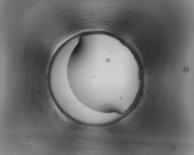 X0000114440789200911131515