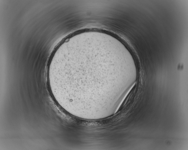 X0000114440791200911131515