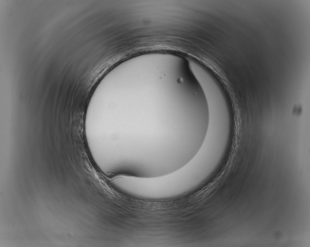 X0000114440793200911131515