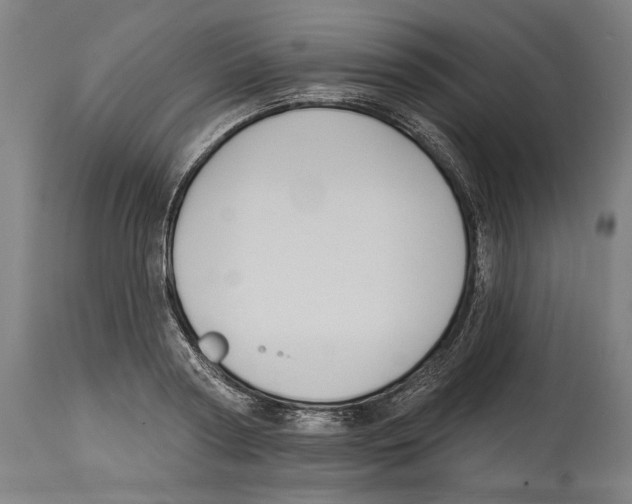 X0000114440794200911131515