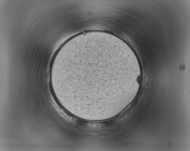 X0000114440795200911131514