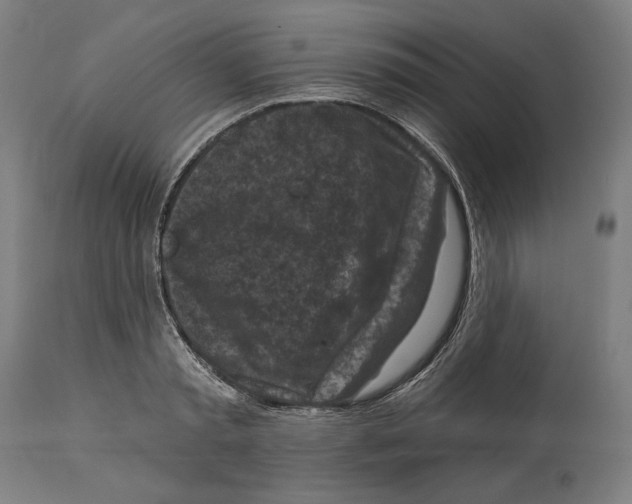 X0000114440797200911131514