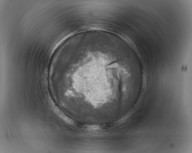 X0000114440798200911131514