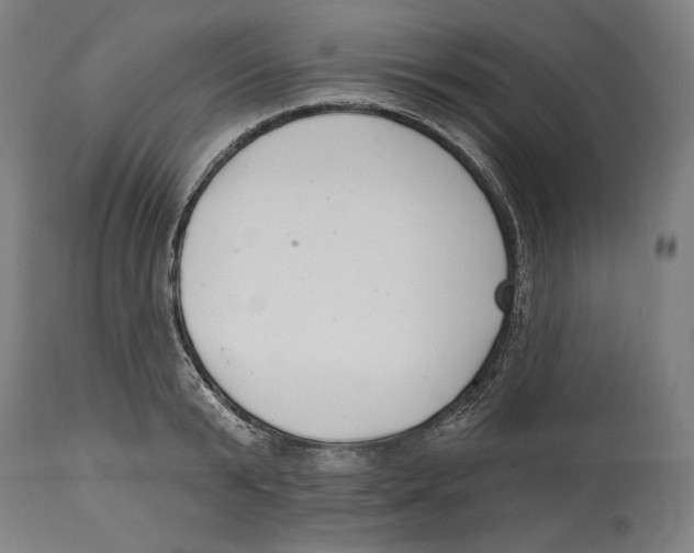 X0000114440799200911131514