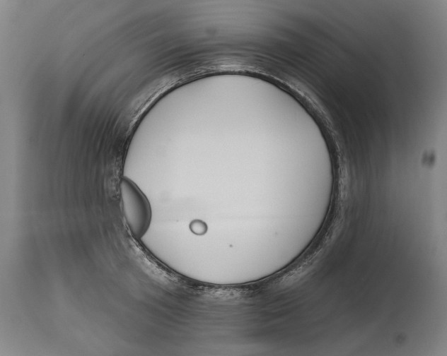 X0000114440801200911131514