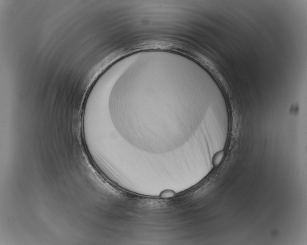 X0000114440802200911131514