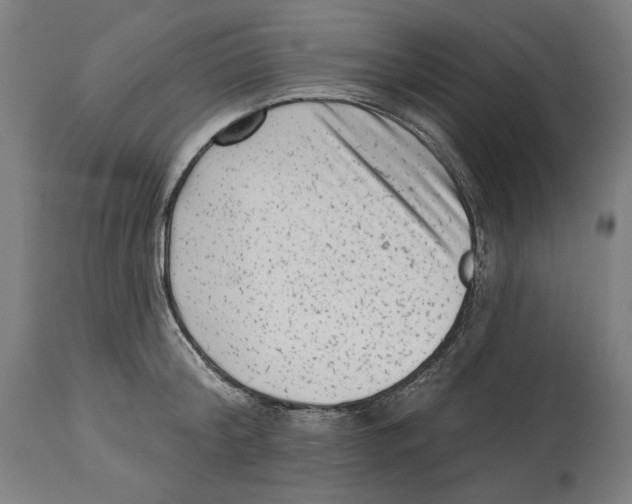 X0000114440804200911131514